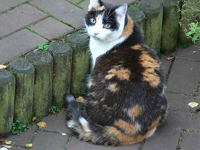 P1000259_kl